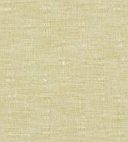 Milton Fabric by Clarke & Clarke Citron