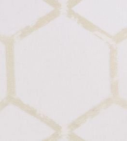 Forma Fabric by Clarke & Clarke Champagne