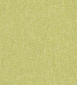 Midori Fabric by Clarke & Clarke Citron