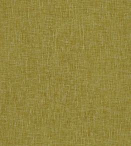 Midori Fabric by Clarke & Clarke Gold