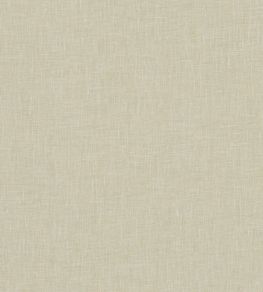 Midori Fabric by Clarke & Clarke Parsley