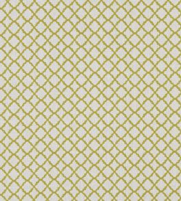 Ariyana Fabric by Clarke & Clarke Chartreuse Ariyana Fabric by Clarke & Clarke Chartreuse