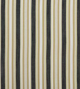 Ziba Fabric by Clarke & Clarke Charcoal/Ochre