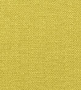 Henley Fabric by Clarke & Clarke Citrus