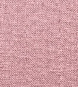 Henley Fabric by Clarke & Clarke Peony Henley Fabric by Clarke & Clarke Peony