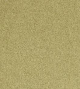 Highlander Fabric by Clarke & Clarke Fern