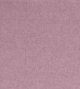 Highlander Fabric by Clarke & Clarke Orchid Highlander Fabric by Clarke & Clarke Orchid