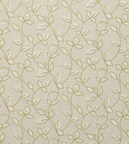Chartwell Fabric by Clarke & Clarke Acacia