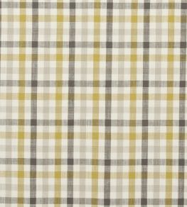 Hatfield Fabric by Clarke & Clarke Acacia