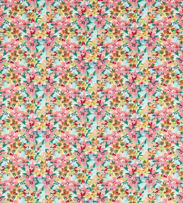 Clementine Fabric by Clarke & Clarke Summer Clementine Fabric by Clarke & Clarke Summer