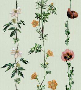 Climbing Flowers Wallpaper by Coordonne Melon Climbing Flowers Wallpaper by Coordonne Melon