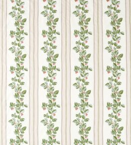 Cobnut Stripe Fabric by Sanderson Leaf Green/Berry Cobnut Stripe Fabric by Sanderson Leaf Green/Berry