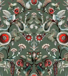 Coccinella Bella Wallpaper by Moooi Sage Green Coccinella Bella Wallpaper by Moooi Sage Green