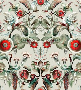 Coccinella Bella Wallpaper by Moooi Stone Grey Coccinella Bella Wallpaper by Moooi Stone Grey