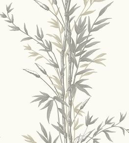 Bamboo Wallpaper by Cole & Son Taupe