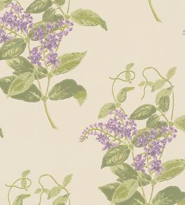 Madras Violet Wallpaper by Cole & Son Purple & Olive