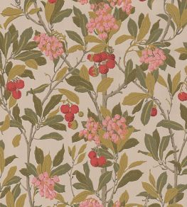 Strawberry Tree Wallpaper by Cole & Son Fuchsia, Red & Olive