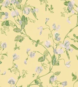 Sweet Pea Wallpaper by Cole & Son Grey & Lime Sweet Pea Wallpaper by Cole & Son Grey & Lime