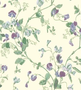 Sweet Pea Wallpaper by Cole & Son Mulberry & Sage Sweet Pea Wallpaper by Cole & Son Mulberry & Sage