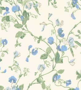 Sweet Pea Wallpaper by Cole & Son Cerulean & Sky Sweet Pea Wallpaper by Cole & Son Cerulean & Sky