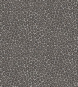 Senzo Spot Wallpaper by Cole & Son 6031