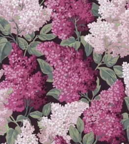 Lilac Grandiflora Wallpaper by Cole & Son Magenta & Blush on Charcoal