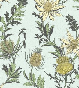 Thistle Wallpaper by Cole & Son Lemon & Olive on Duck Egg Thistle Wallpaper by Cole & Son Lemon & Olive on Duck Egg