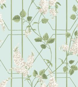 Wisteria Wallpaper by Cole & Son Stone & Olive on Duck Egg Wisteria Wallpaper by Cole & Son Stone & Olive on Duck Egg