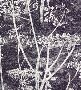 Cow Parsley Wallpaper by Cole & Son Etch Grey Cow Parsley Wallpaper by Cole & Son Etch Grey