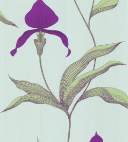 Orchid Wallpaper by Cole & Son 27 Orchid Wallpaper by Cole & Son 27
