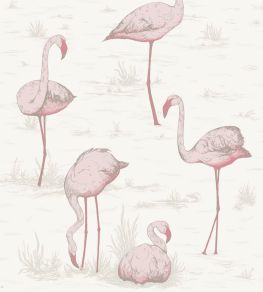 Flamingos Wallpaper by Cole & Son 45 Flamingos Wallpaper by Cole & Son 45