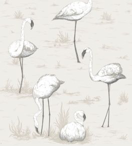 Flamingos Wallpaper by Cole & Son 46 Flamingos Wallpaper by Cole & Son 46