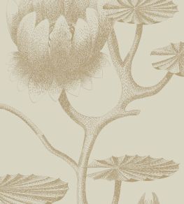 Lily Wallpaper by Cole & Son 19 Lily Wallpaper by Cole & Son 19