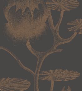 Lily Wallpaper by Cole & Son 21 Lily Wallpaper by Cole & Son 21