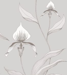 Orchid Wallpaper by Cole & Son 55 Orchid Wallpaper by Cole & Son 55