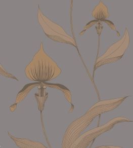 Orchid Wallpaper by Cole & Son 56 Orchid Wallpaper by Cole & Son 56