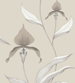 Orchid Wallpaper by Cole & Son 58