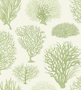 Seafern Wallpaper by Cole & Son 2008 Seafern Wallpaper by Cole & Son 2008