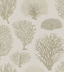 Seafern Wallpaper by Cole & Son 2010