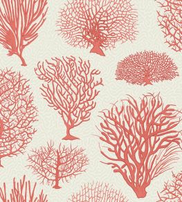 Seafern Wallpaper by Cole & Son 2011