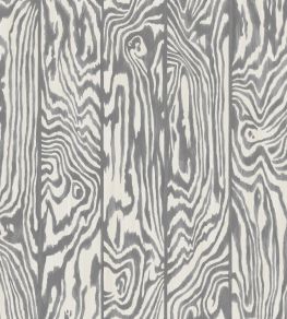 Zebrawood Wallpaper by Cole & Son 1003 Zebrawood Wallpaper by Cole & Son 1003