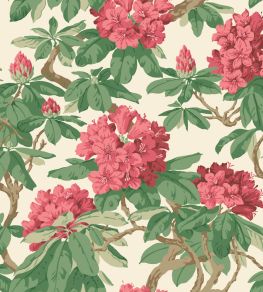 Bourlie Wallpaper by Cole & Son 4019 Bourlie Wallpaper by Cole & Son 4019