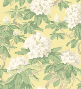 Bourlie Wallpaper by Cole & Son 4021