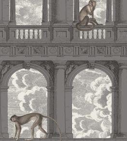 Procuratie Con Vista Wallpaper by Cole & Son Soot & Snow Procuratie Con Vista Wallpaper by Cole & Son Soot & Snow