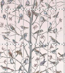 Uccelli Mural by Cole & Son Ballet Slipper Uccelli Mural by Cole & Son Ballet Slipper