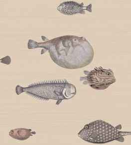 Acquario Wallpaper by Cole & Son Taupe Acquario Wallpaper by Cole & Son Taupe