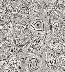 Malachite Wallpaper by Cole & Son White and Black