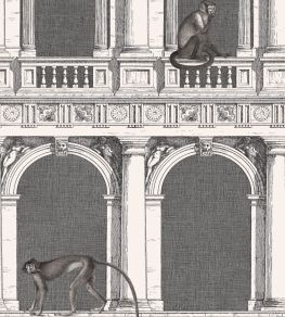 Procuratie E Scimmie Wallpaper by Cole & Son Black and White Procuratie E Scimmie Wallpaper by Cole & Son Black and White