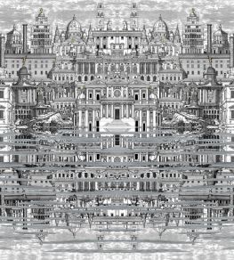 Riflesso Wallpaper by Cole & Son Black and White