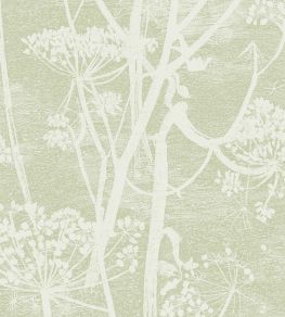 Cow Parsley Wallpaper by Cole & Son Green Cow Parsley Wallpaper by Cole & Son Green